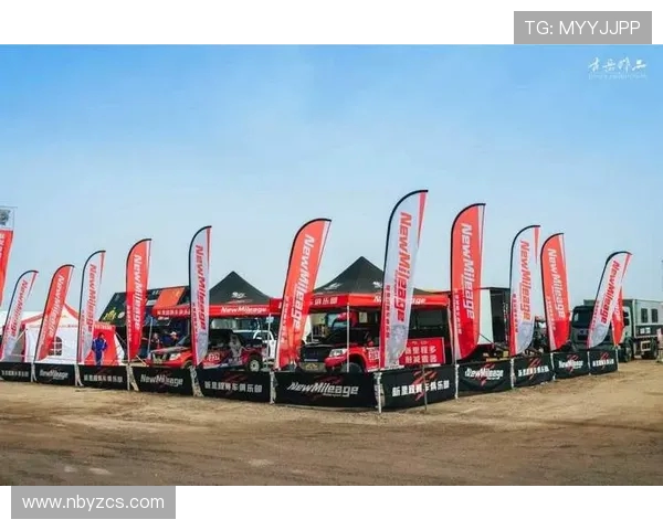 北京排球队耐力变革引发热议助力球队新征程